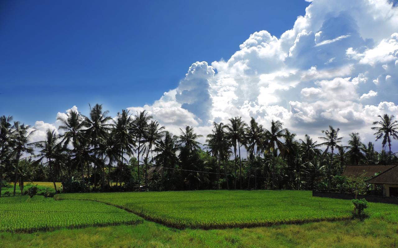 Pondok Ayu Soca Ubud Exterior foto